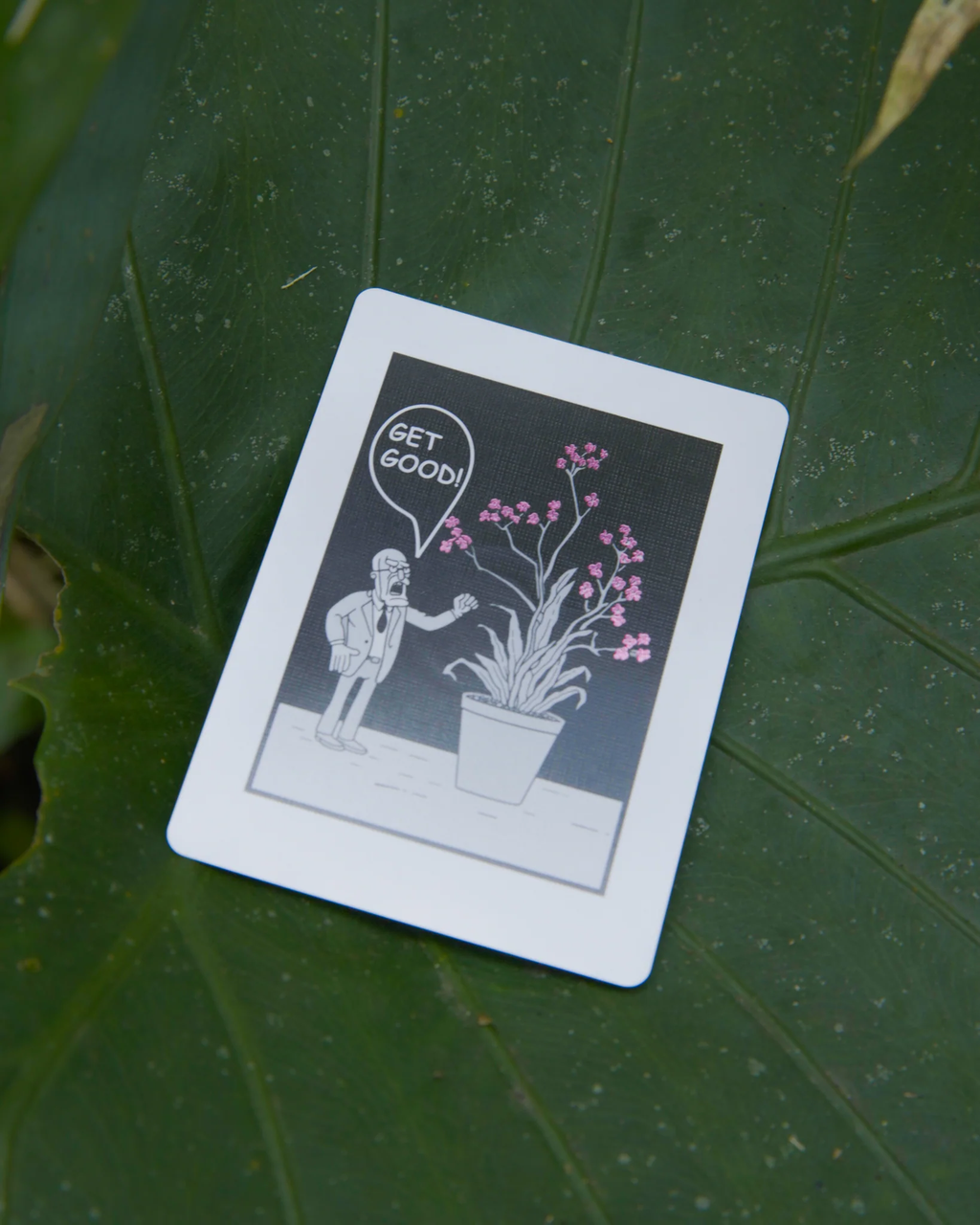 Lotusinhand Lustre Echo Playing Cards